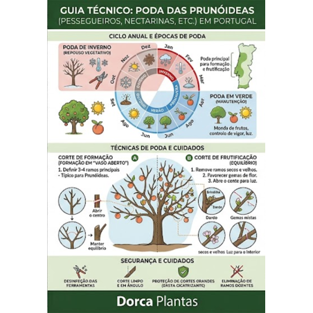 Poda das Prunóideas