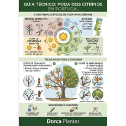 Tudo sobre Poda de Citrinos