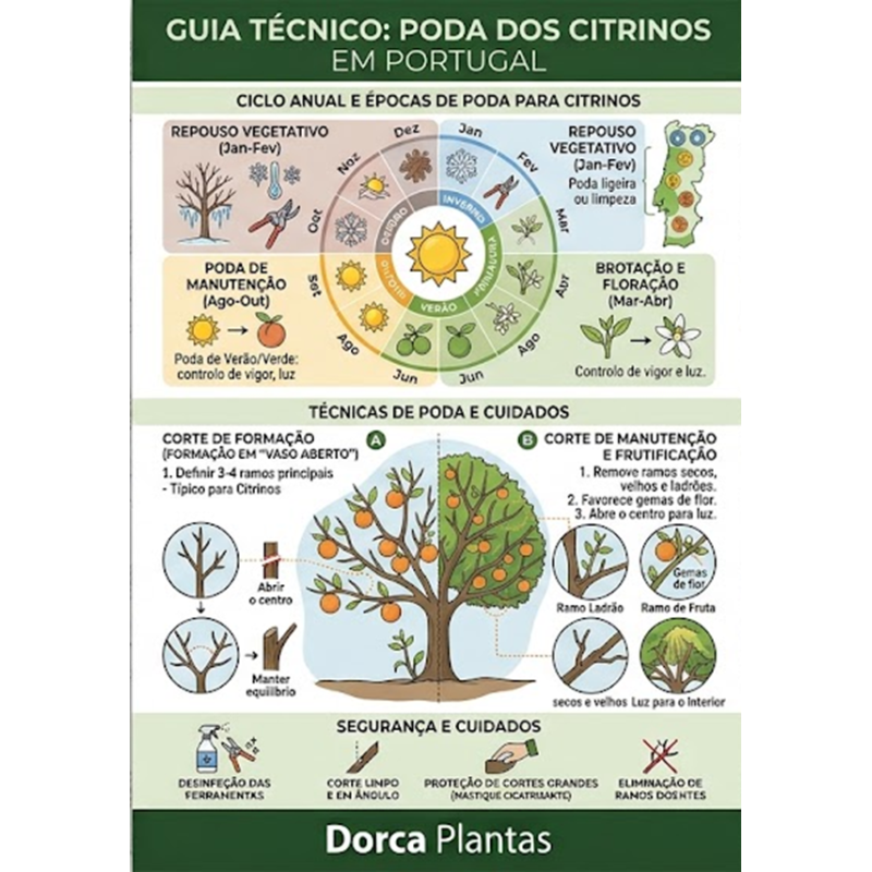 Tudo sobre Poda de Citrinos