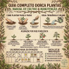 GUIA COMPLETO DA DORCA PLANTAS