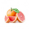 Toranja Star Ruby ( Citrus X Paradisi)