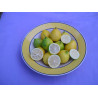 Eustin Limequat (  14cm)