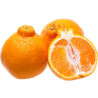 Laranja Tangelo (Citrus X Tangelo)