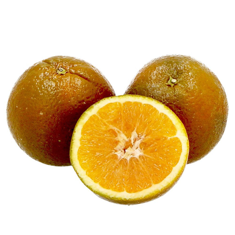 Laranja Marrom ( Citrus Sinensis Navel Chocolate)