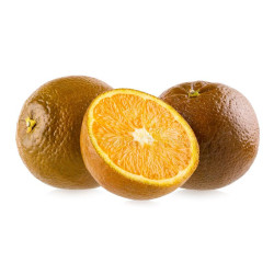 Laranja Chocolate ( Citrus Sinensis Navel Chocolate)