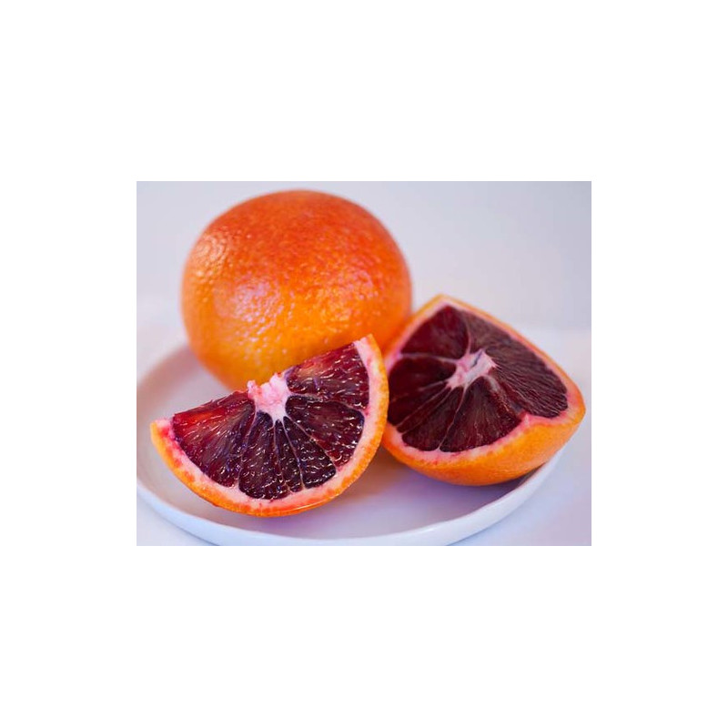 Laranja Sanguinelli Blood Orange ( Citrus × sinensis 'Blood orange')