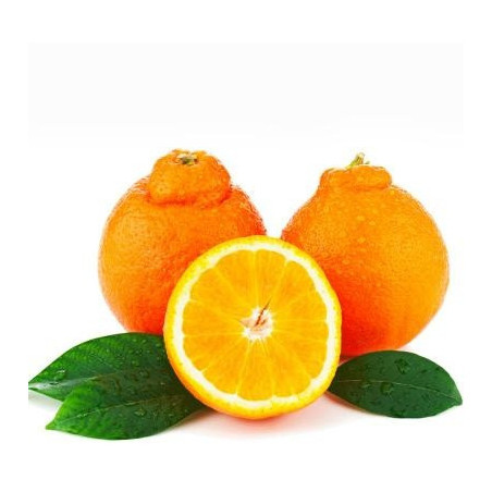 Tangelo ( Citrus X Tangelo)