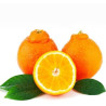 Tangelo ( Citrus X Tangelo)