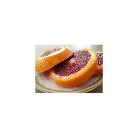Laranja de Sangue ( Citrus × sinensis 'Blood orange')