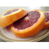 Laranja de Sangue ( Citrus × sinensis 'Blood orange')