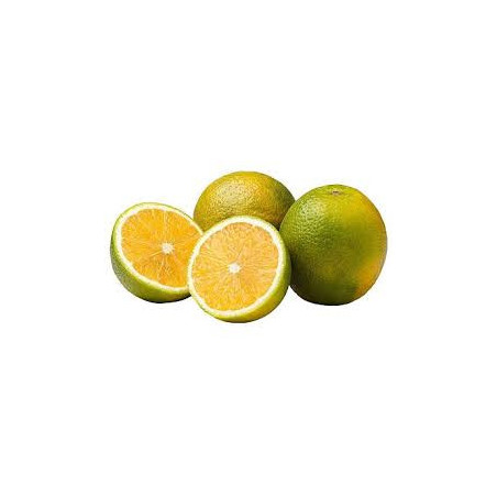 Laranja Serra D´água ( Citrus Sinensis)