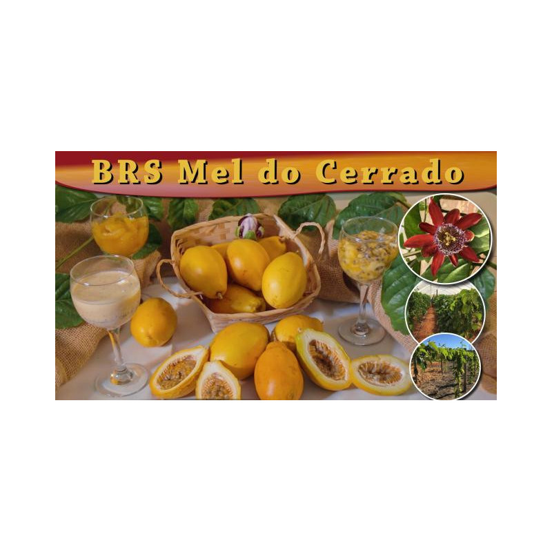 Maracujá Mel do Cerrado