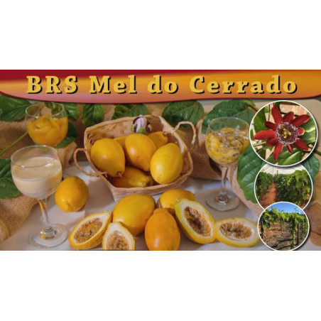 Maracujá Mel do Cerrado