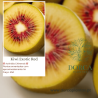 Kiwi Exotic Red Fêmea