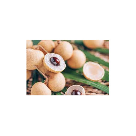 Longan  (Dimocarpus longan)