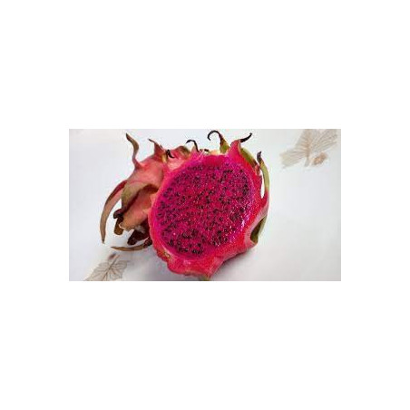 Pitaya Híbrida