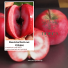 Macieira Red Love Odysso