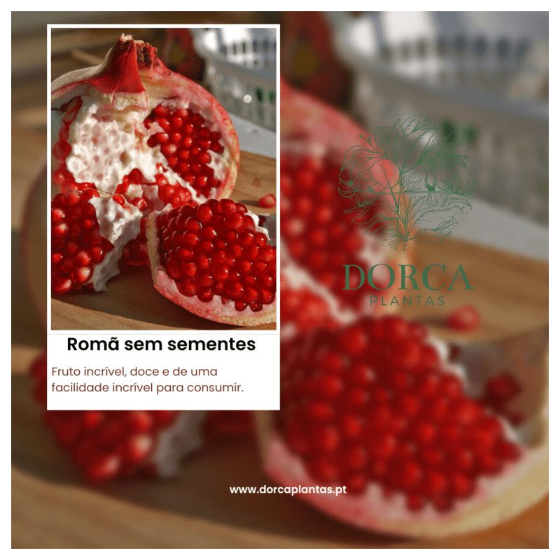 Romã Sem Sementes