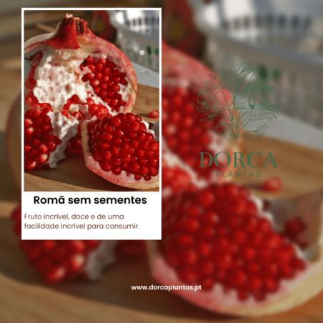 Romã Sem Sementes