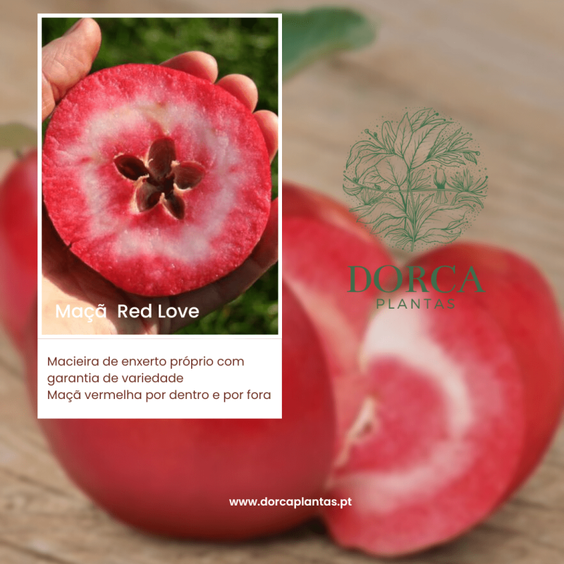 Macieira Red Love