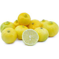 Lima de Marraquexe ( Citrus Limetta Risso)