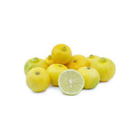 Lima de Marraquexe ( Citrus Limetta Risso)