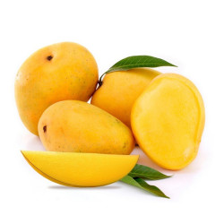 Manga Alphonso