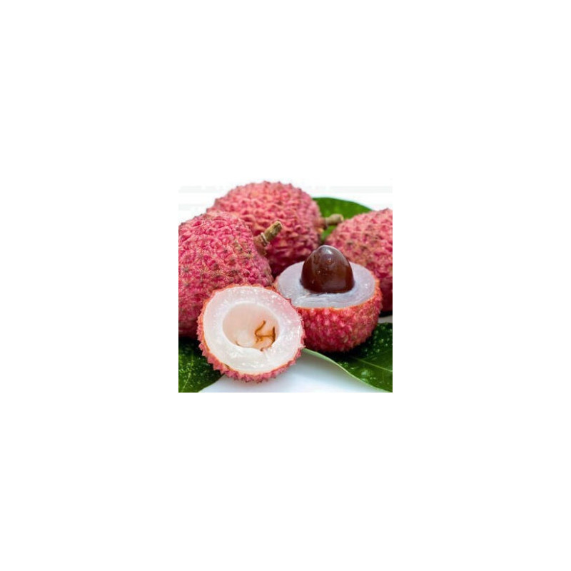 Litchia