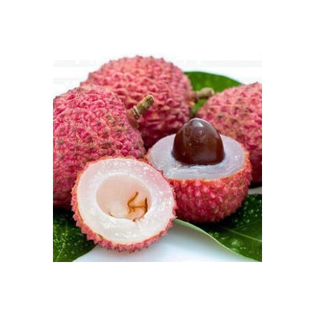 Litchia