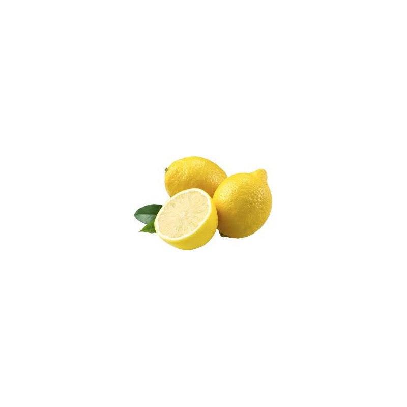 Limão Siciliano ( Citrus Lemon)