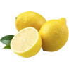 Limão 4 Estações Zonas Frias ( Citrus Lemon)