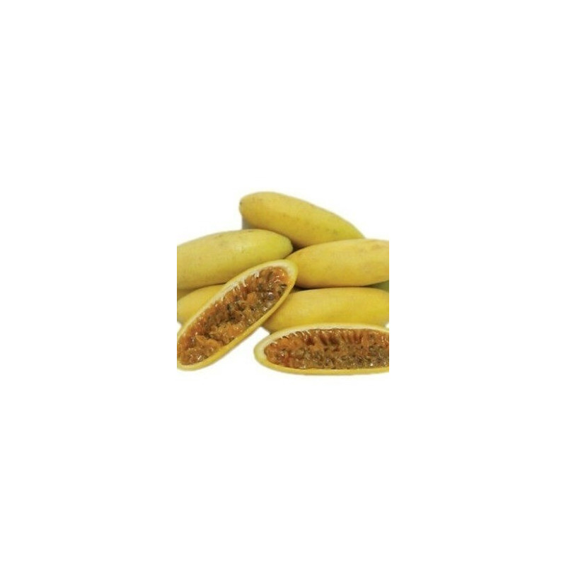 Maracujá Banana