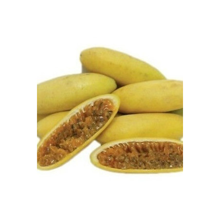 Maracujá Banana