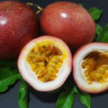 Maracujá Vermelho Doce