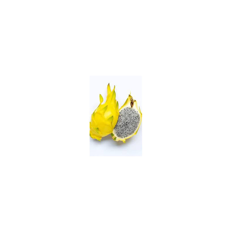 Pitaya Amarela