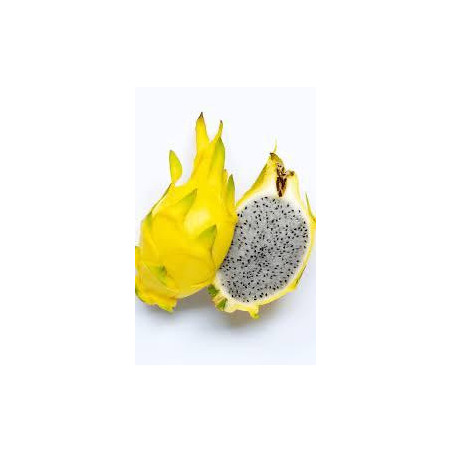 Pitaya Amarela