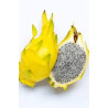 Pitaya Amarela