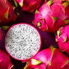 Pitaya Branca