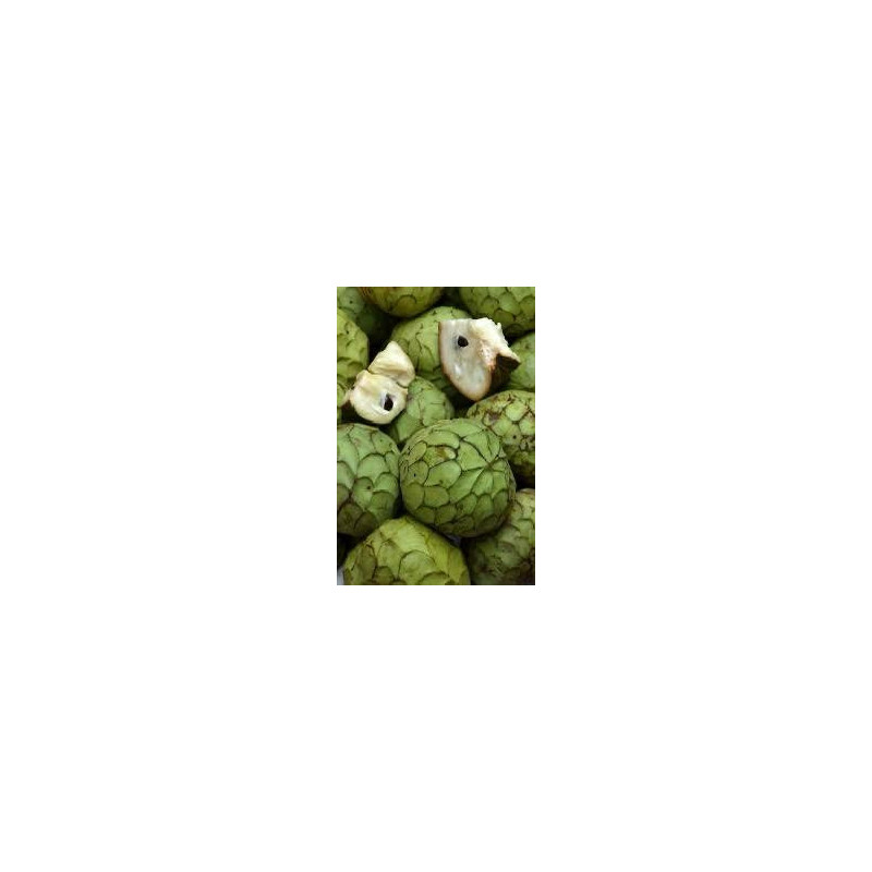 Anonna Cherimoia