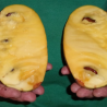 Asimina Triloba Honeydew ( Paw Paw)