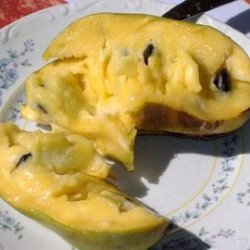 Asimina Triloba Sweet Alice ( Paw Paw)