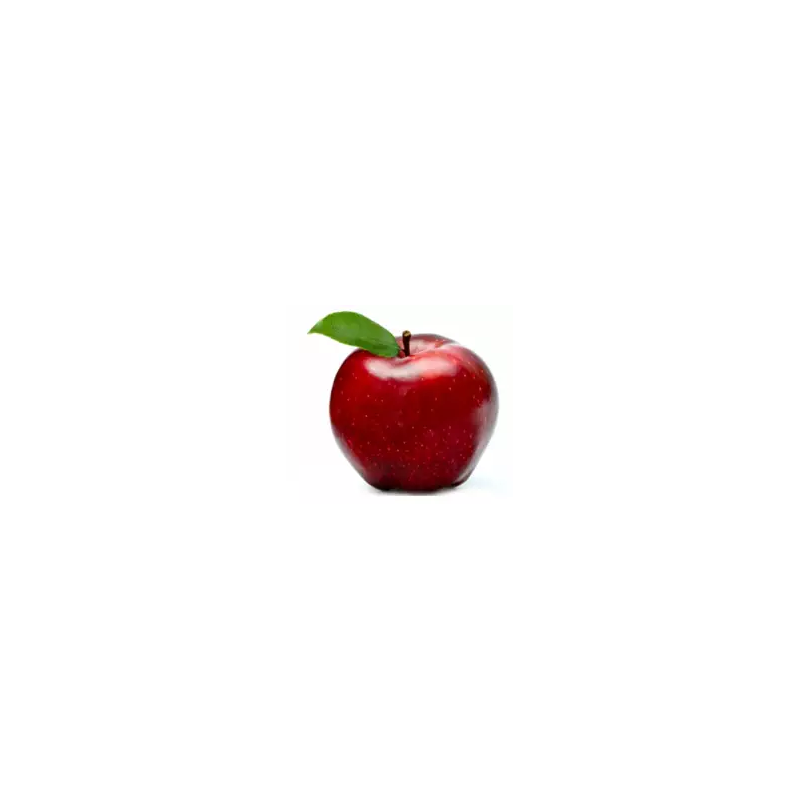 Macieira Starking ( Malus Domestica)