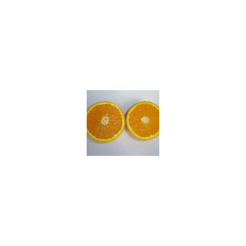Laranja Valencia Delta sem sementes ( Citrus Sinensis)