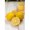 Limão Lisboa (  Citrus Limon)