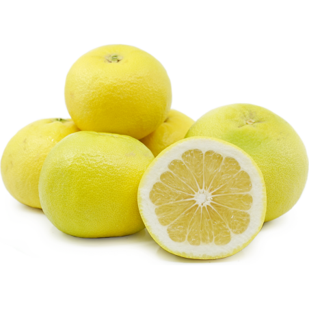 Pomelo Oro Blanco ( Citrus maxima × Citrus paradisi)