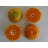 Tangerina Satsuma Owari ( Citrus Unshiu Marcovich Owari)