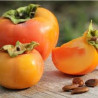 Diospiro Maçã Hana Fuyu ( Diospyros Kaki)
