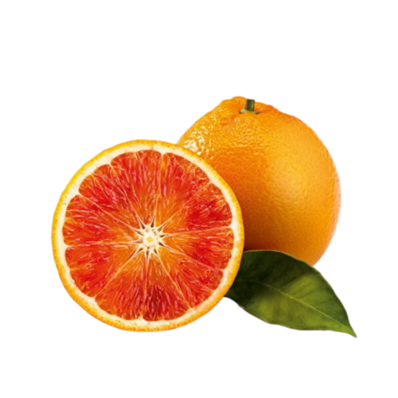 Laranja Tarocco Nucellare 57-1E1 ( Citrus Sinensis)