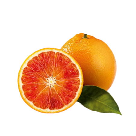 Laranja Tarocco Nucellare 57-1E1 ( Citrus Sinensis)